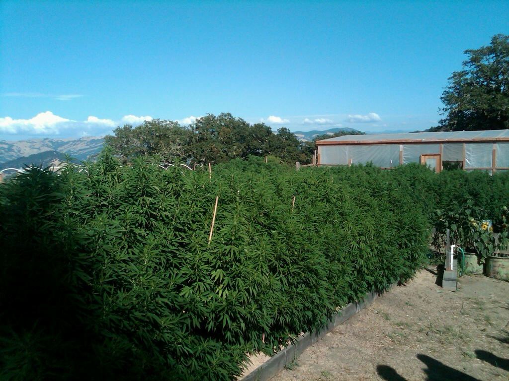 IMG00313 20100821 1722