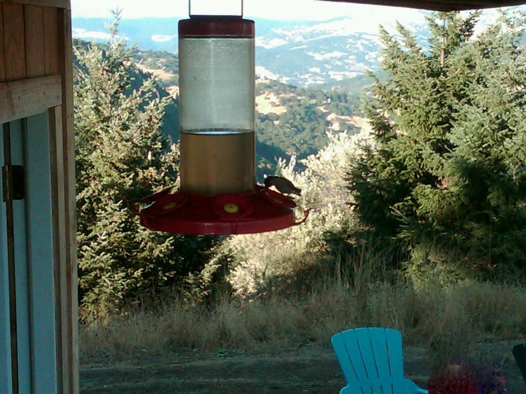 IMG00317 20100821 1859