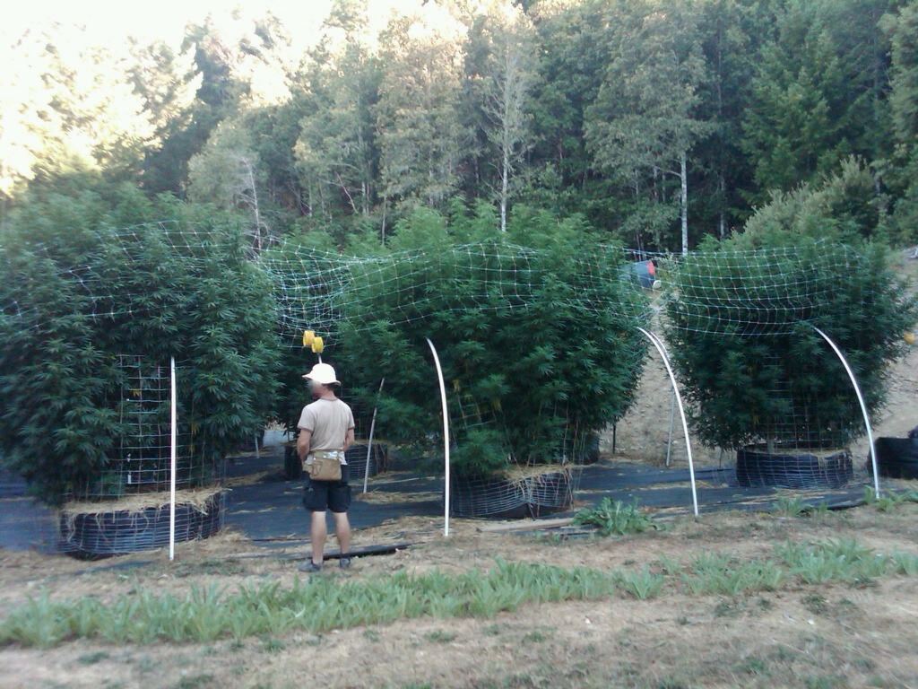 IMG00321 20100823 1820