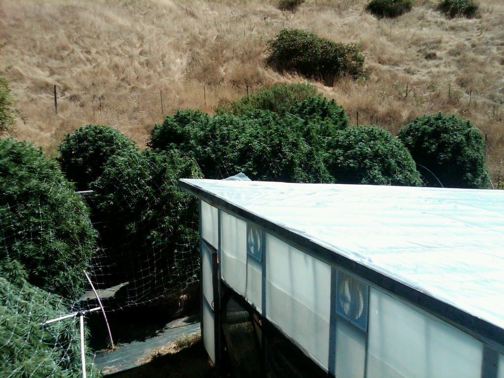 IMG00335 20100906 1226
