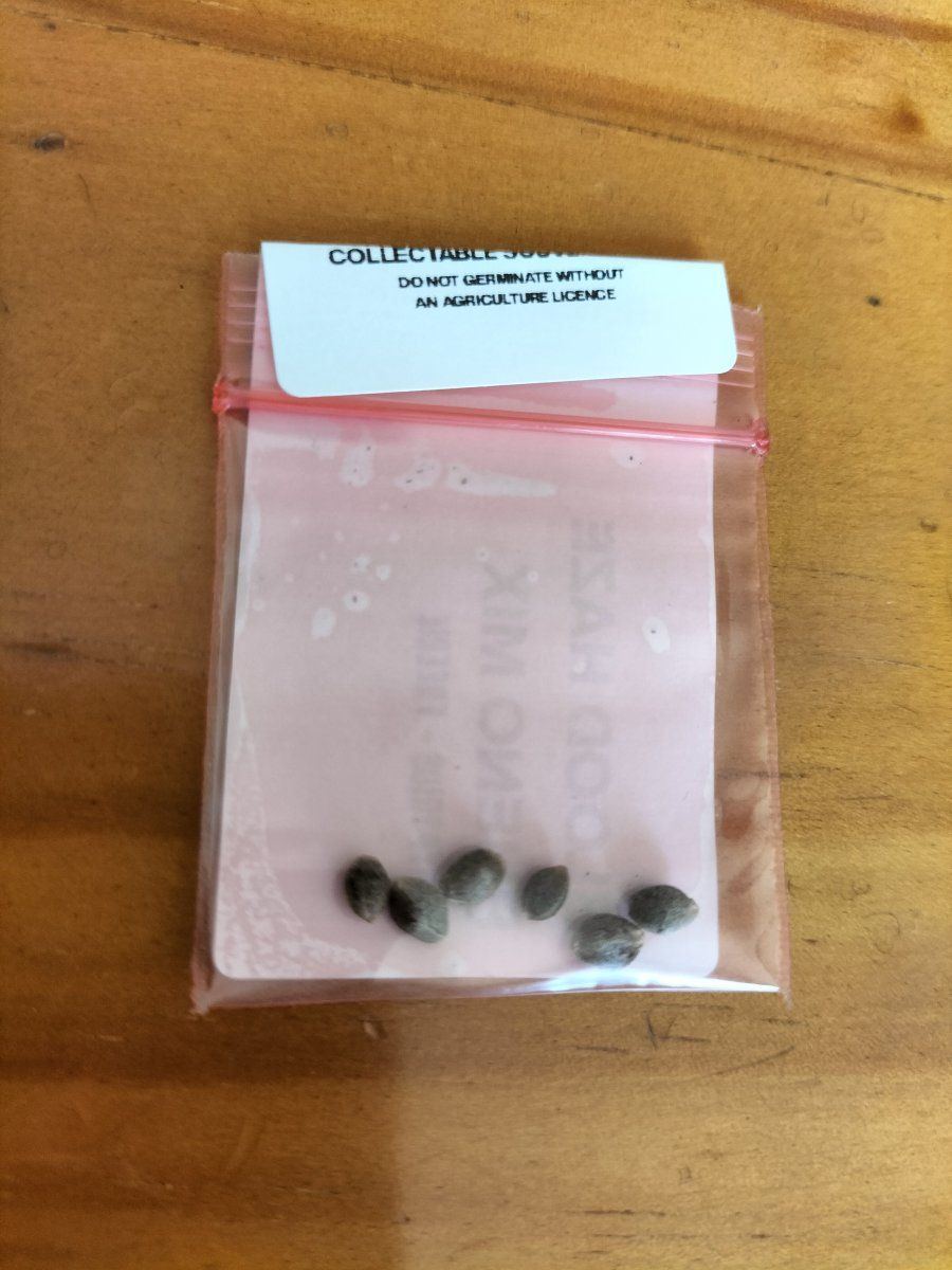 IMG20250423160338