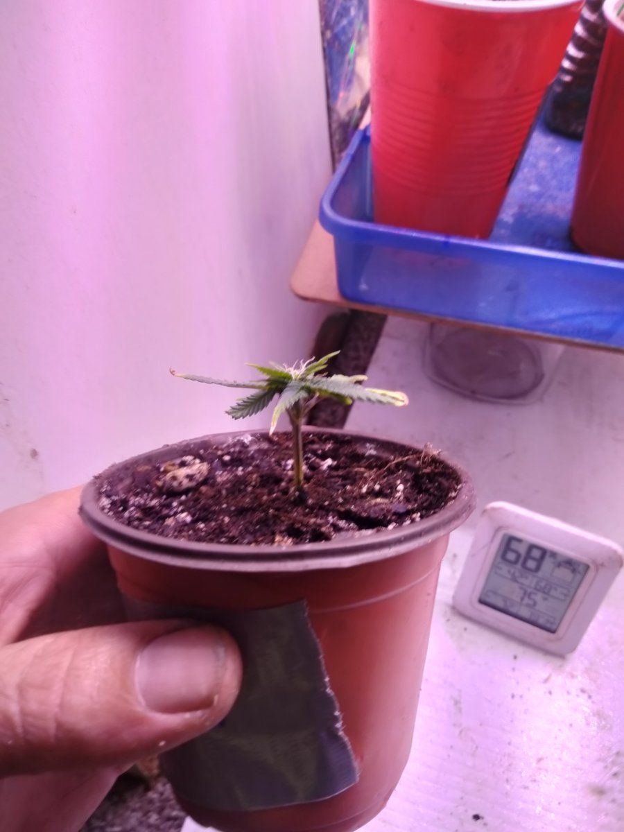 IMG20250913131632
