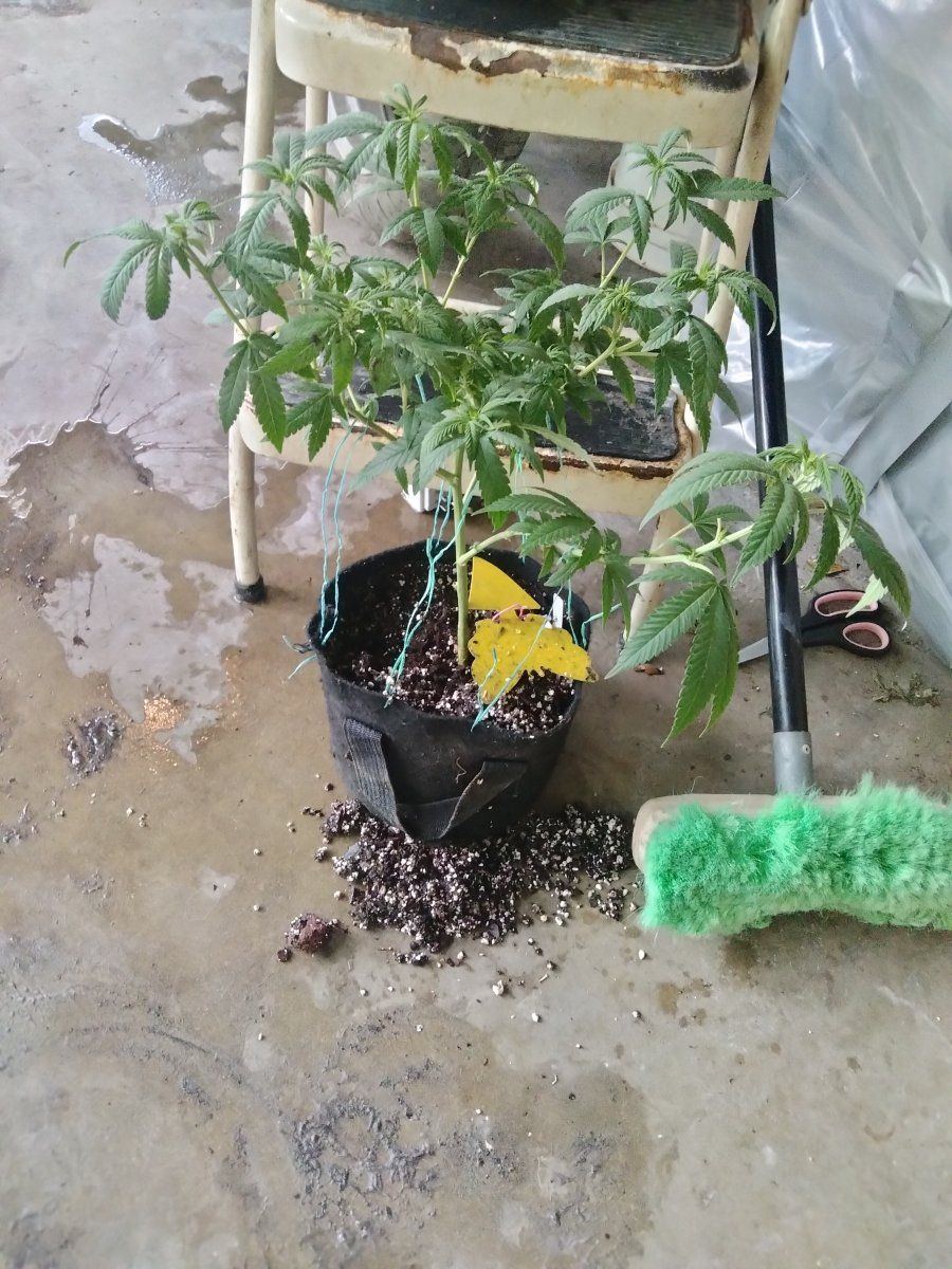 IMG20250917174116