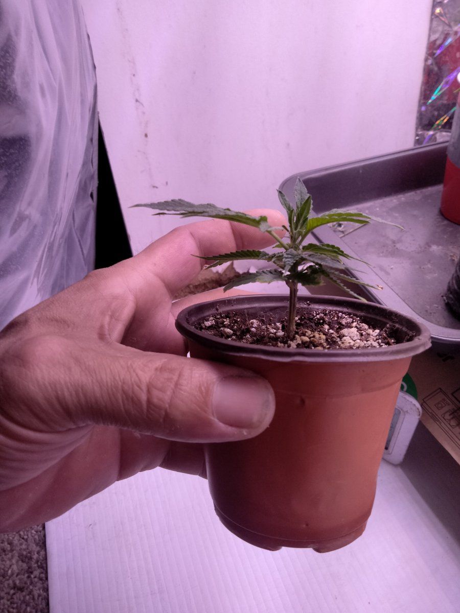 IMG20250924023047