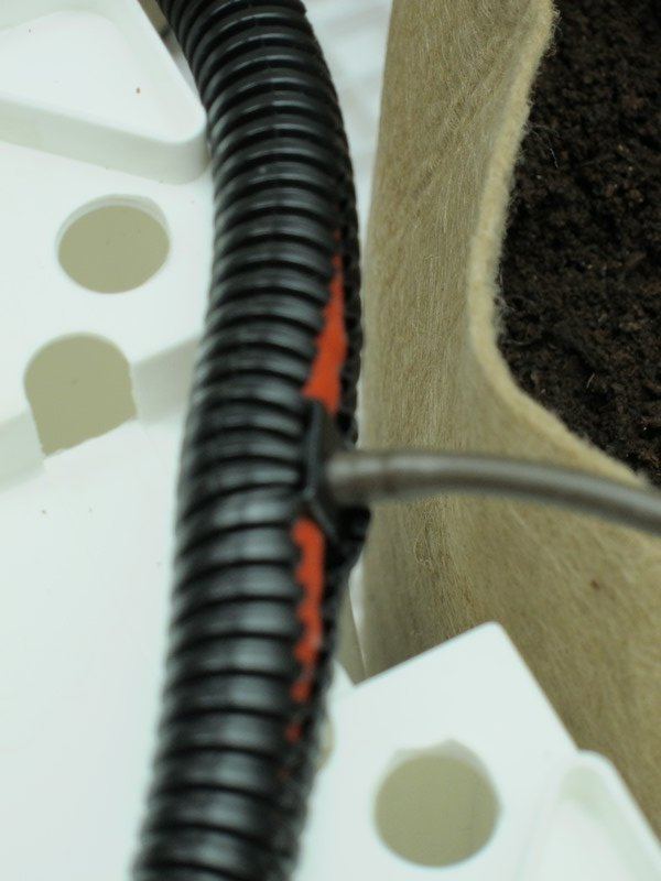 IMG 0002size