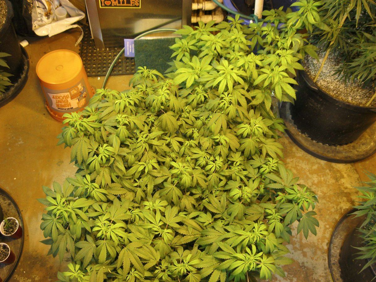 IMG 0003 small