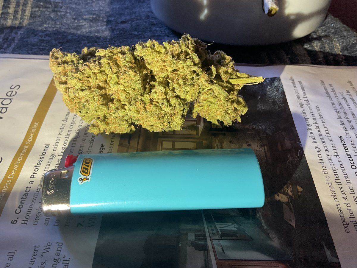 IMG 0009