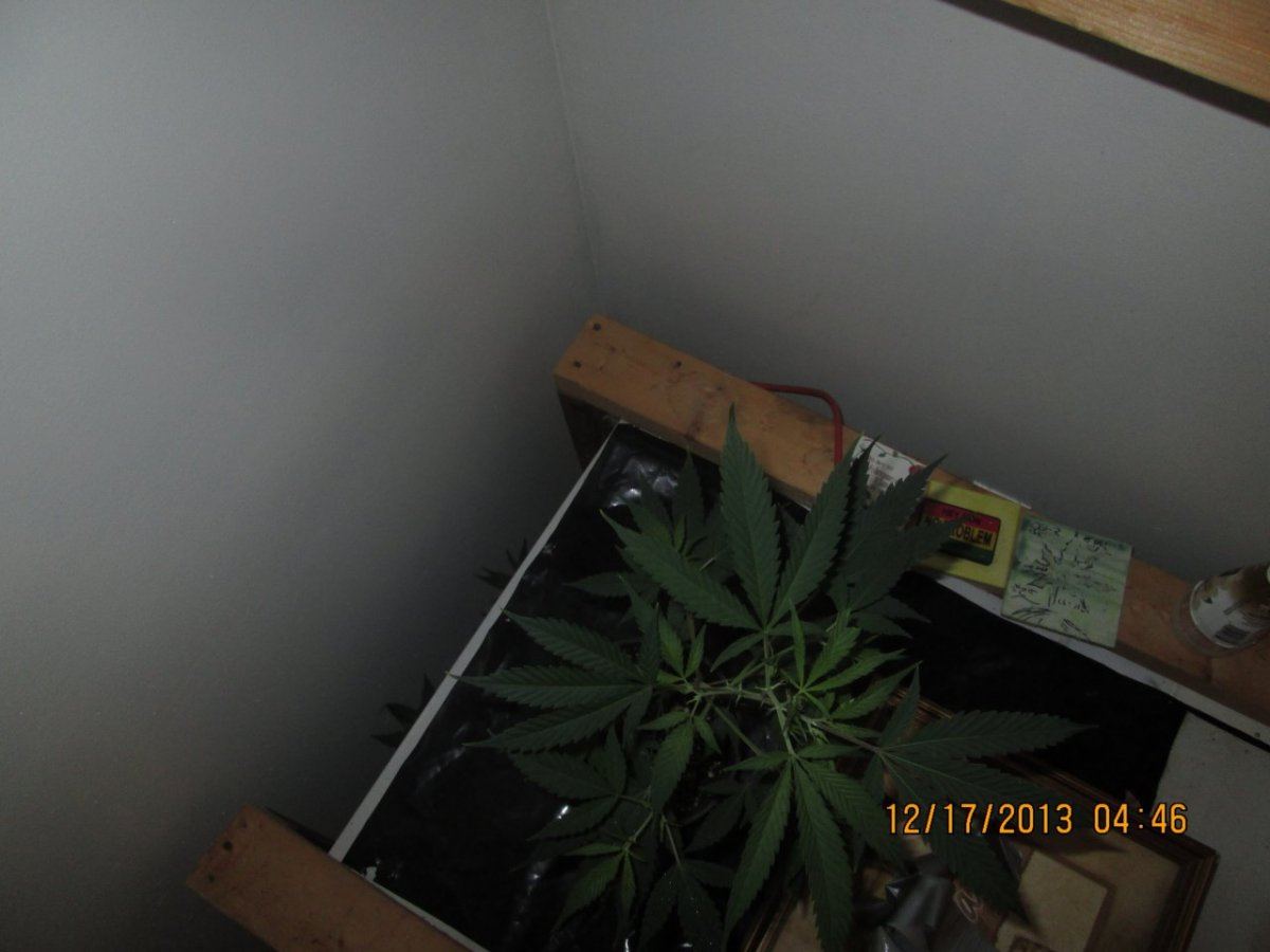 IMG 0017