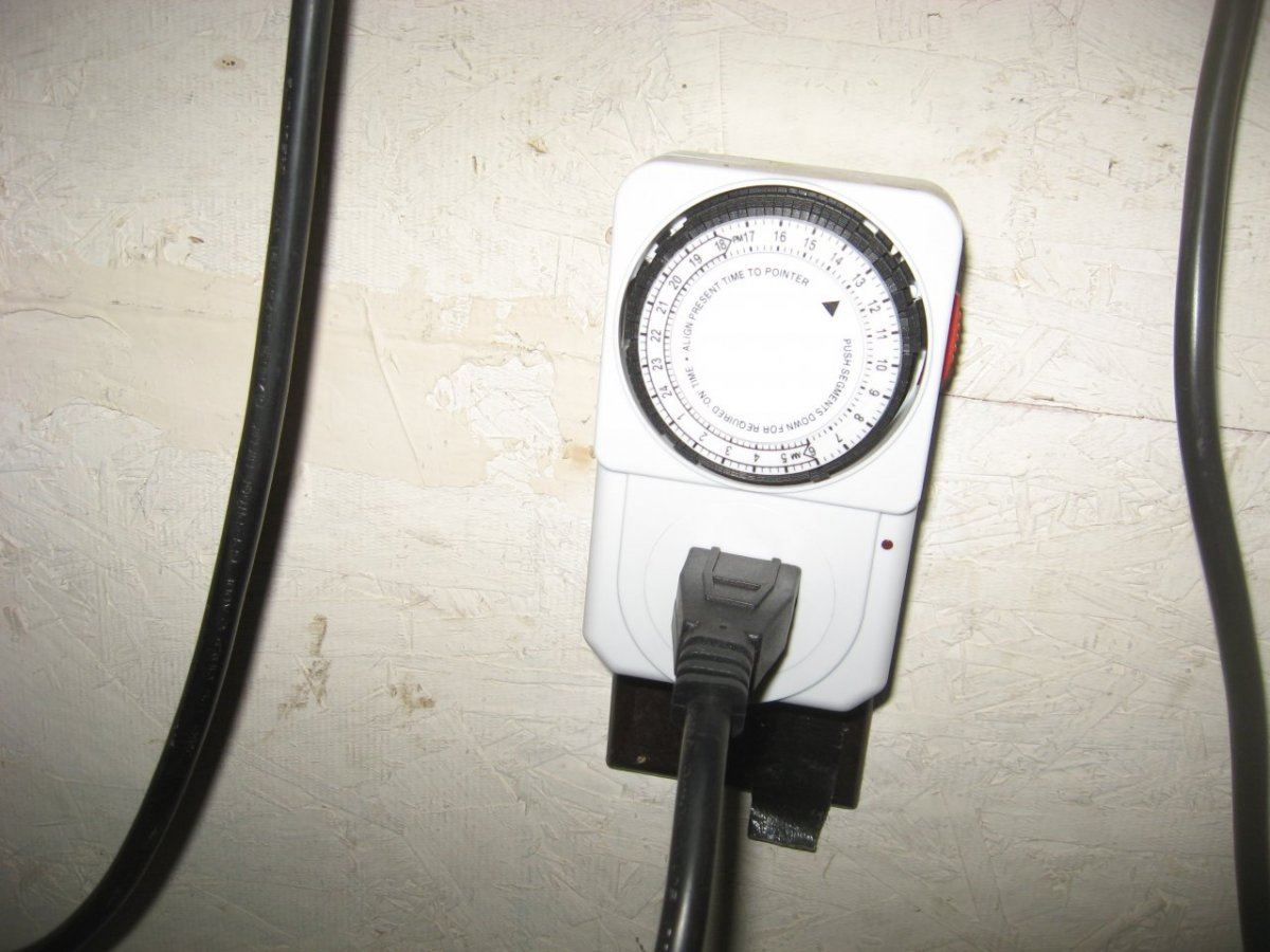 IMG 0019