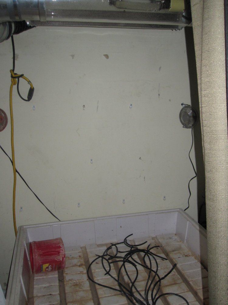 IMG 0019