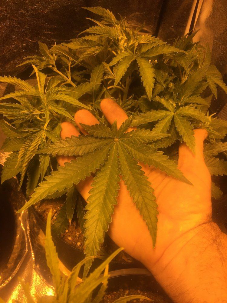 IMG 0024