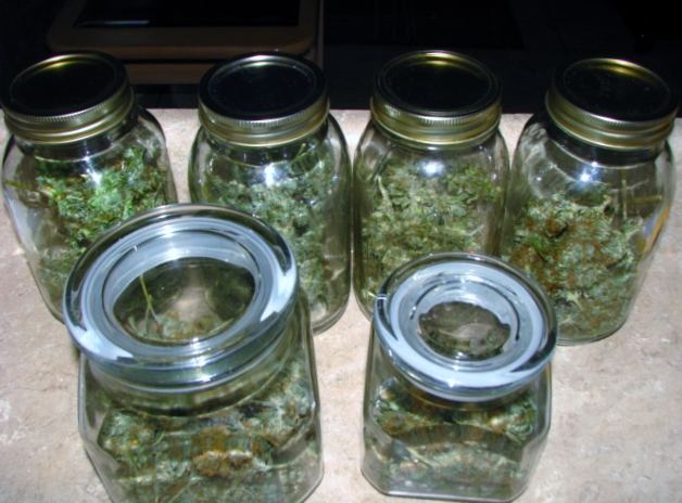 IMG 0038