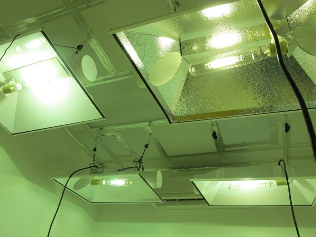 IMG 0038