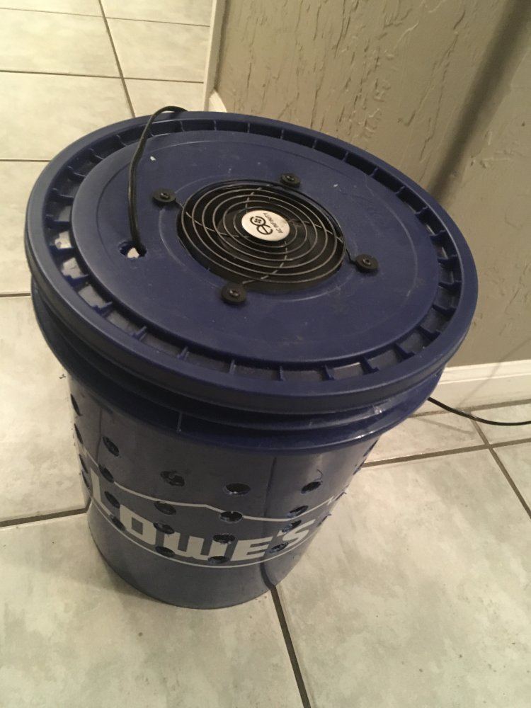 IMG 0054
