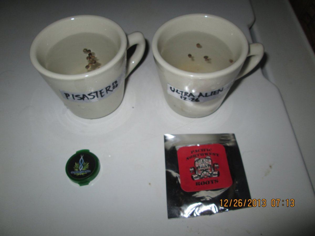 IMG 0076