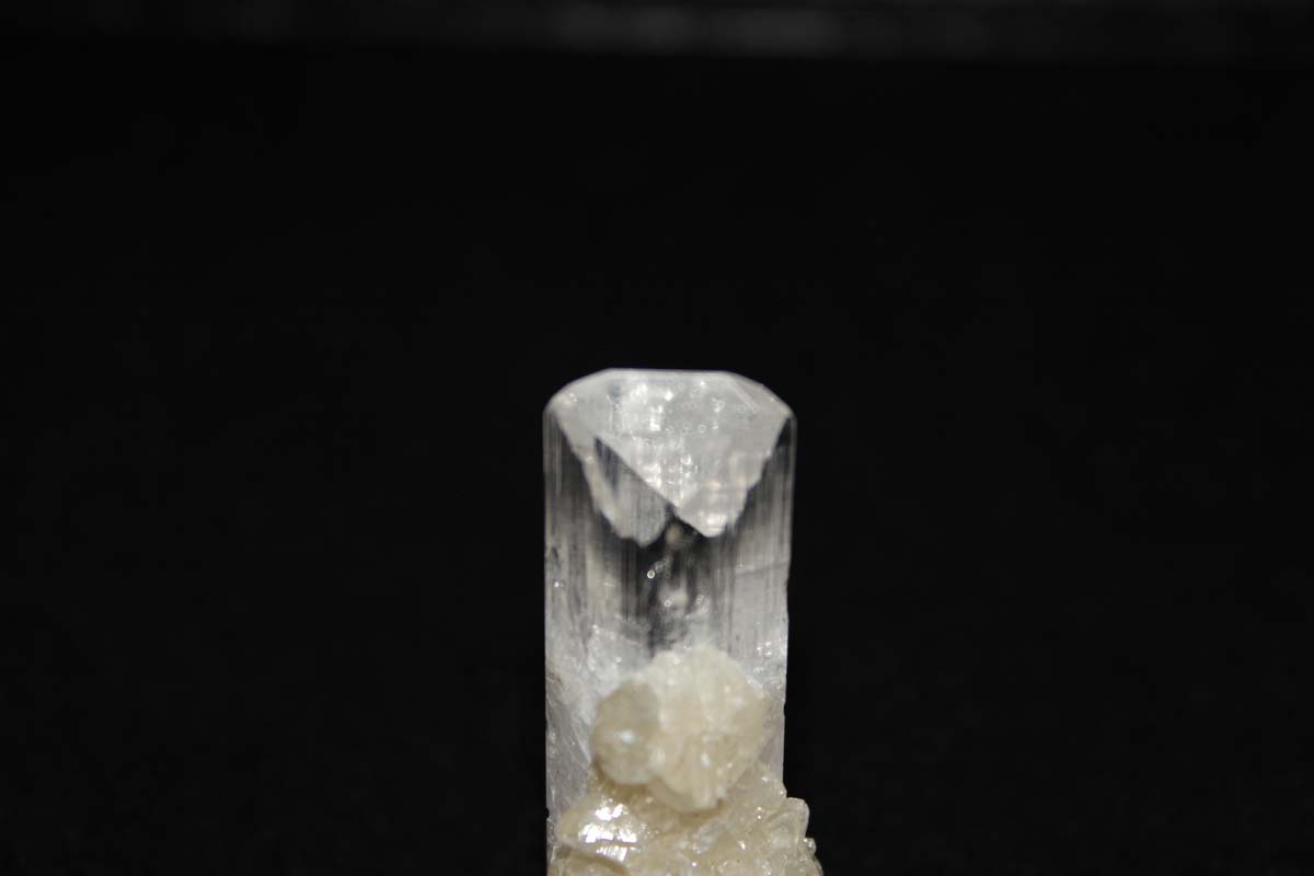 IMG 0077