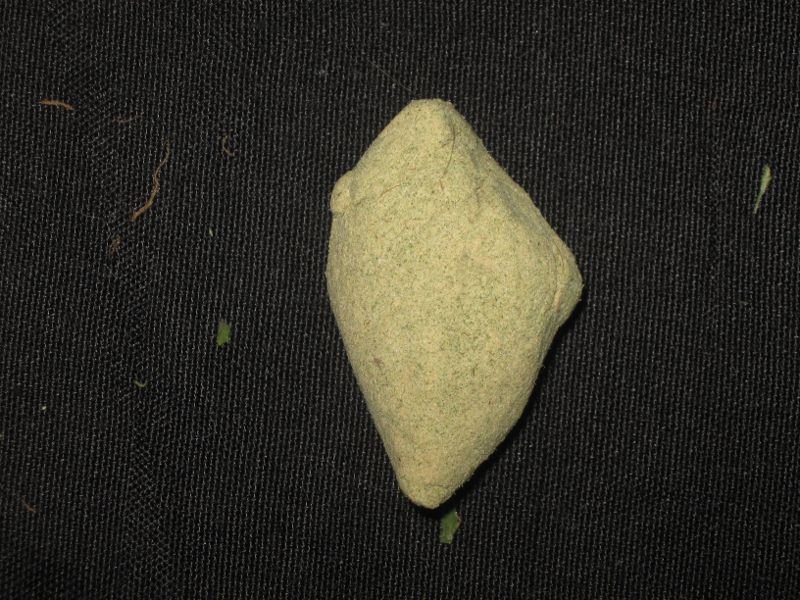 IMG 0081 800x600 2