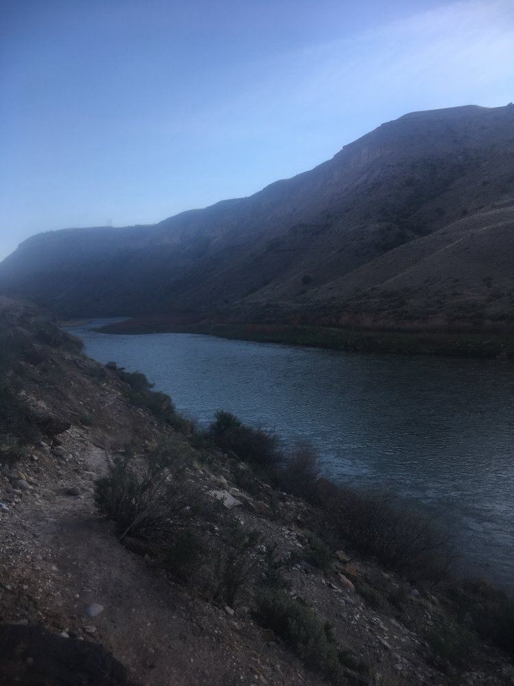IMG 0129