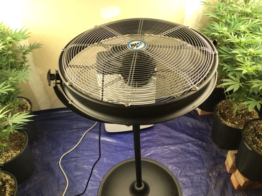IMG 0142