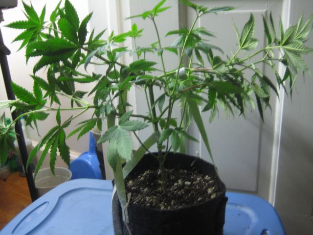 IMG 0149