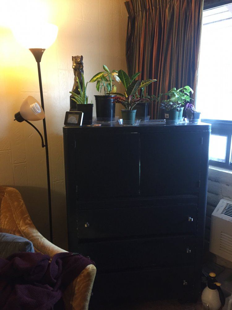 IMG 0213