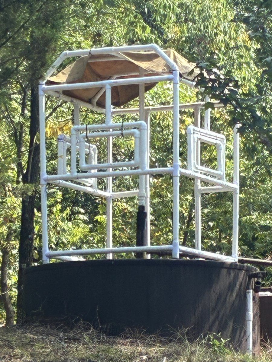 IMG 0328