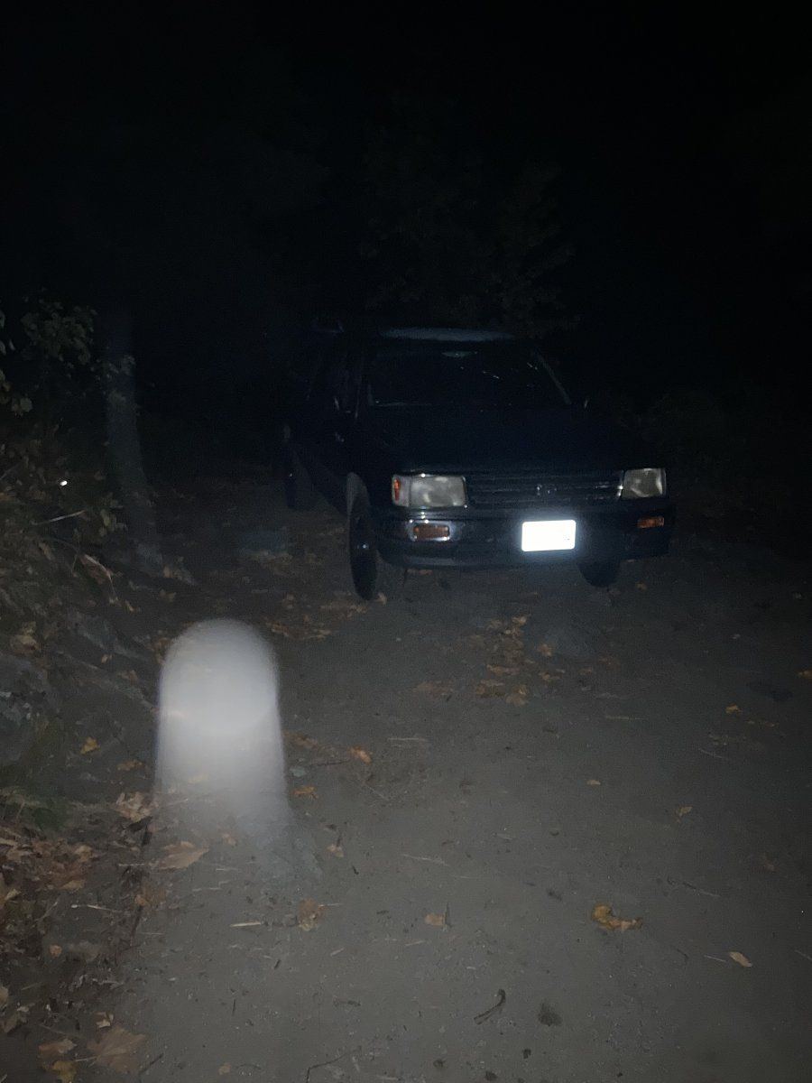IMG 0386