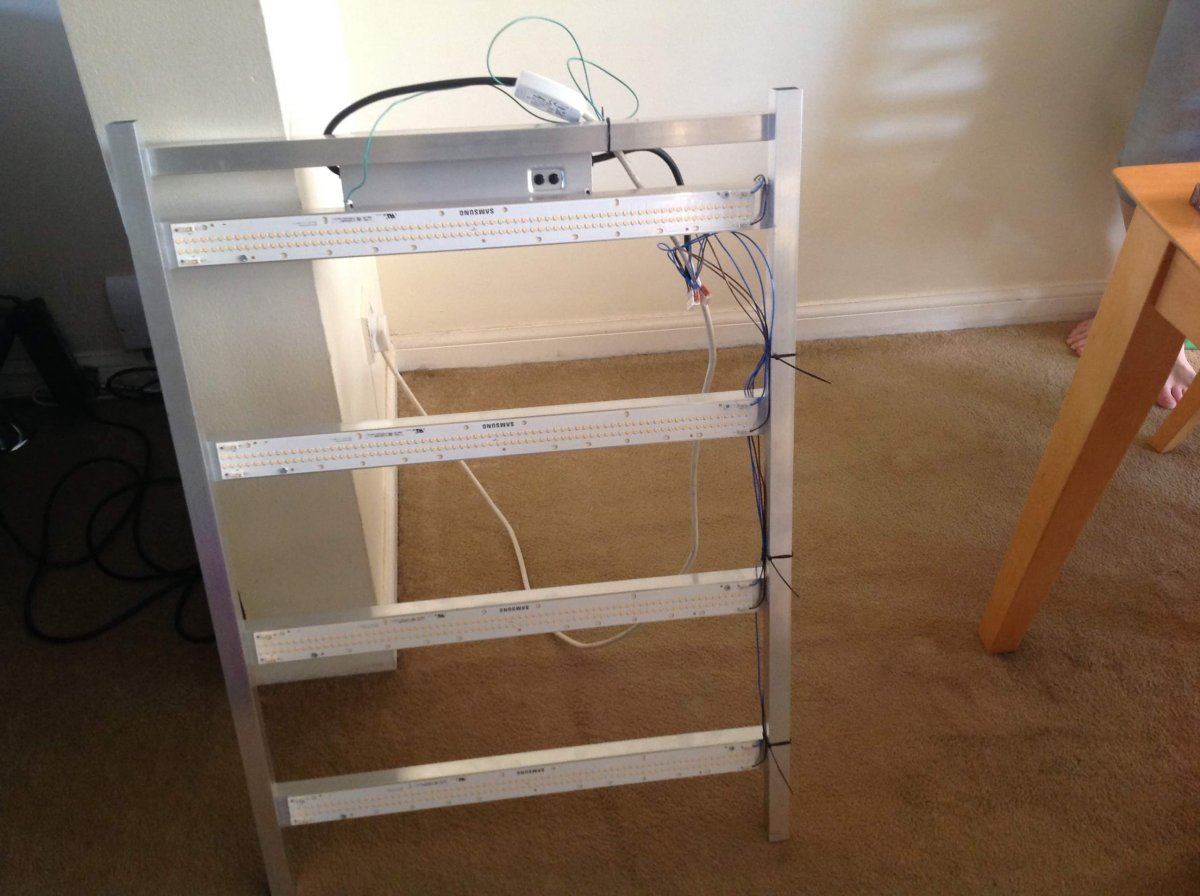 IMG 0399