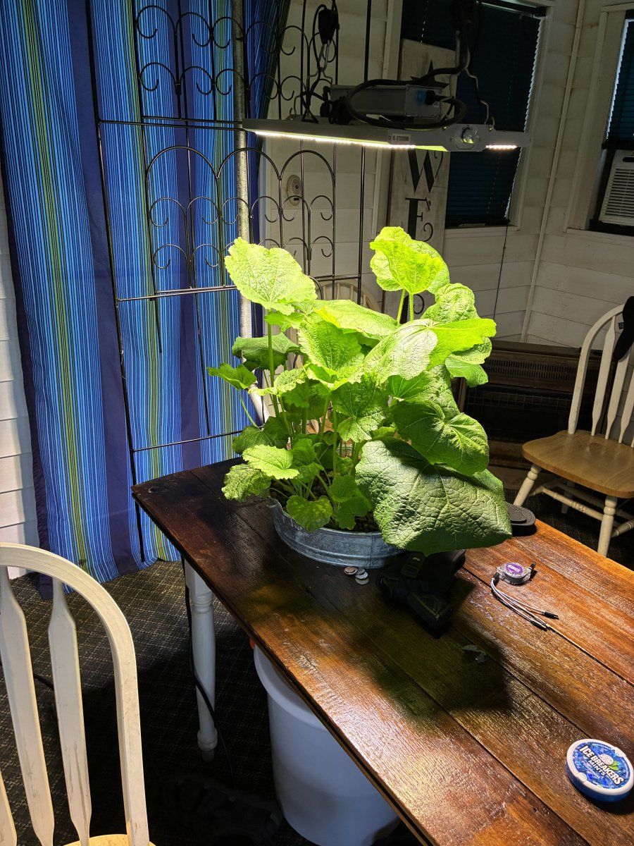 IMG 0417