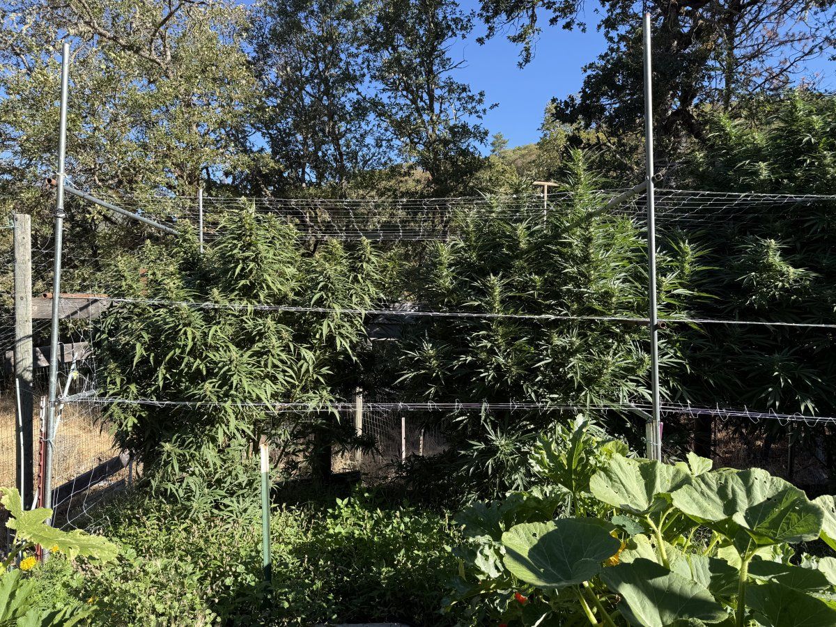 IMG 0436