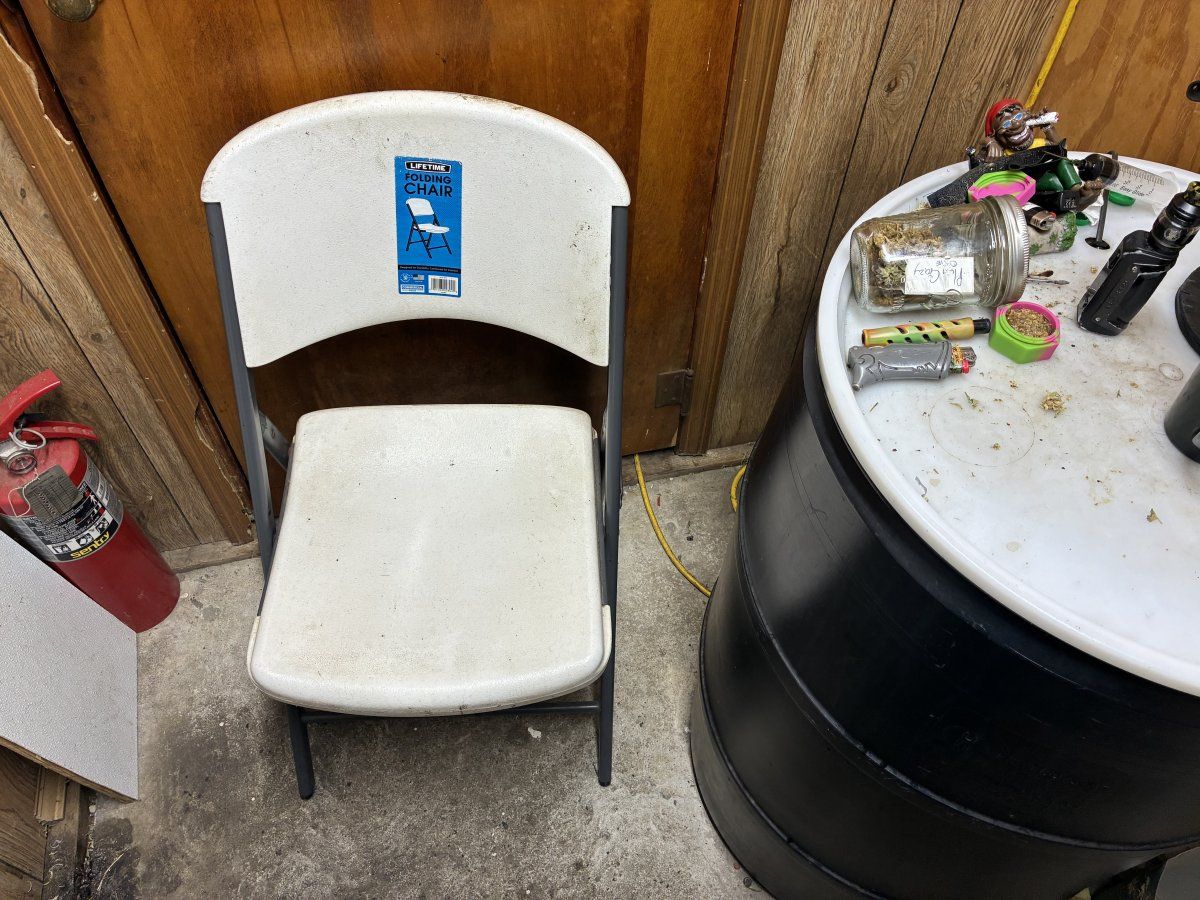 IMG 0542