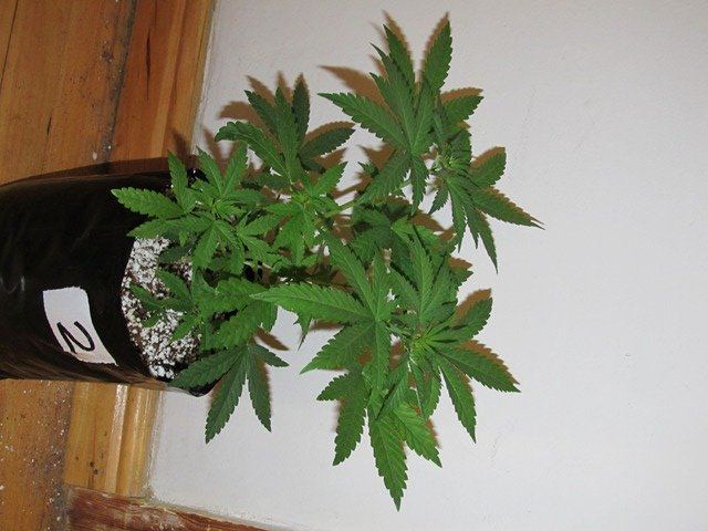 IMG 0573