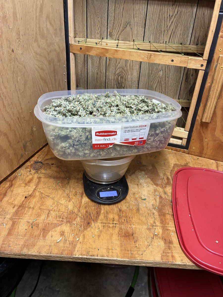IMG 0606