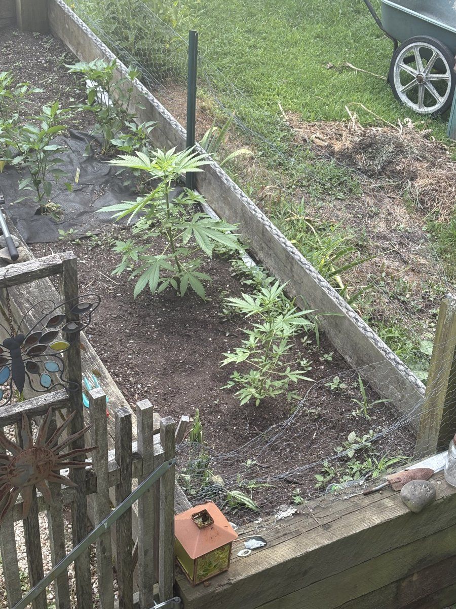 IMG 0634