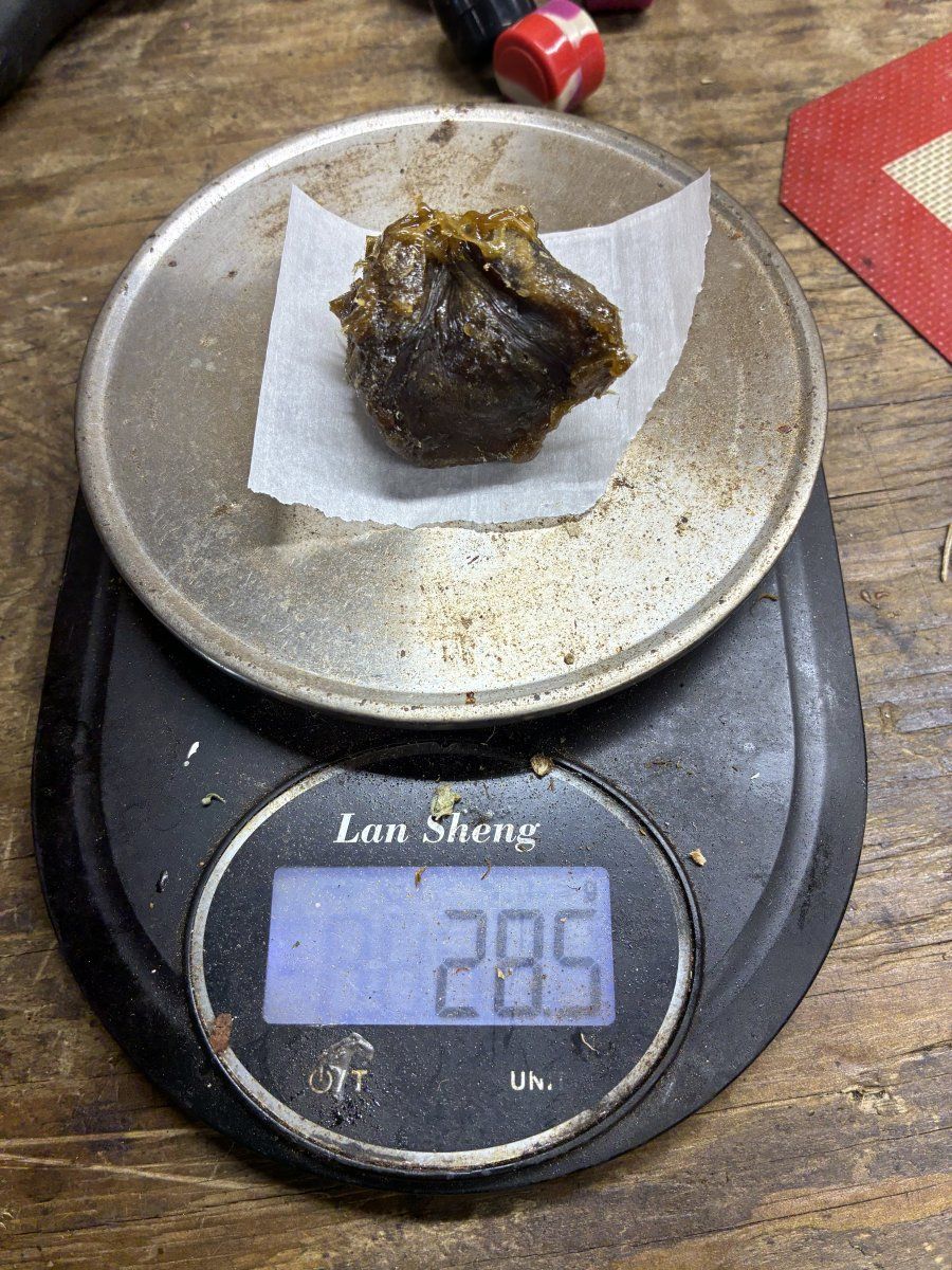 IMG 0635