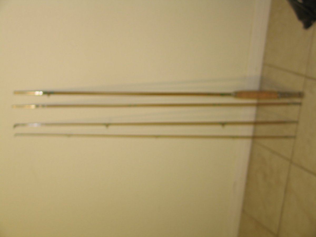 IMG 0716