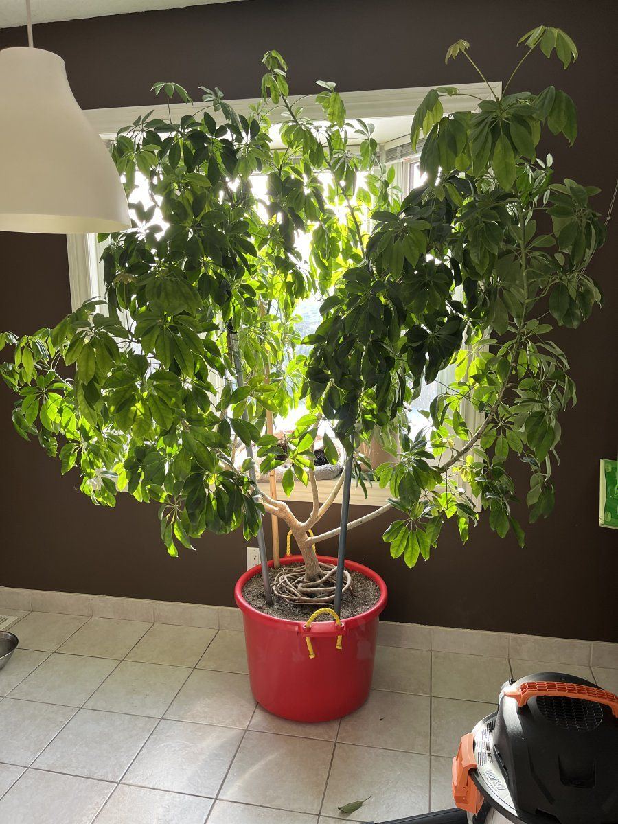 IMG 0769