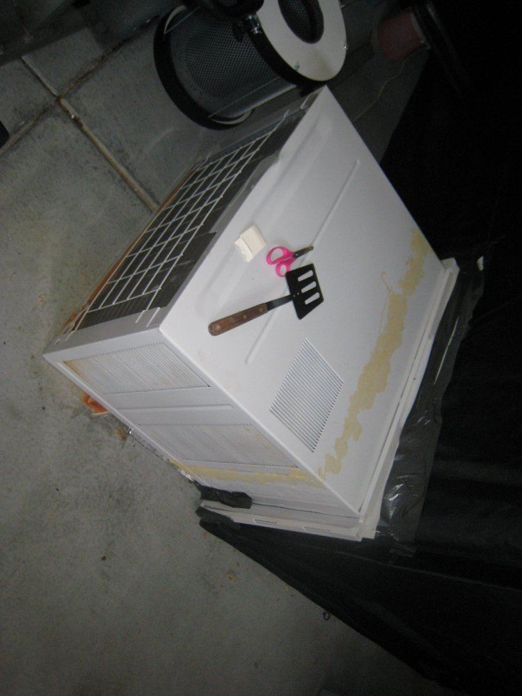 IMG 0796