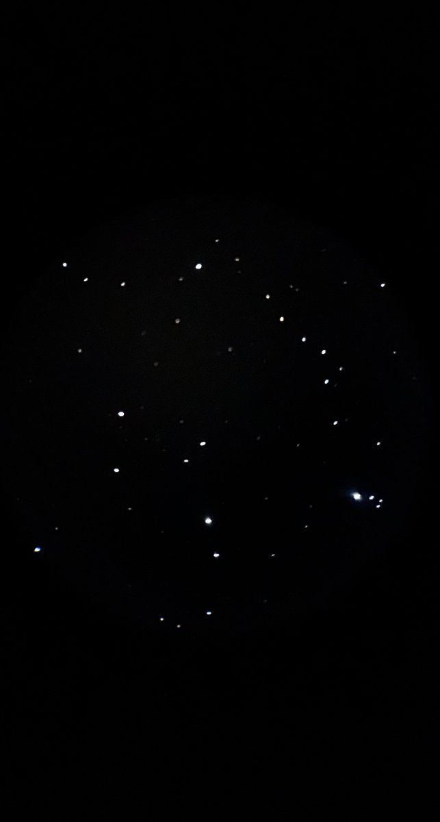 IMG 0822