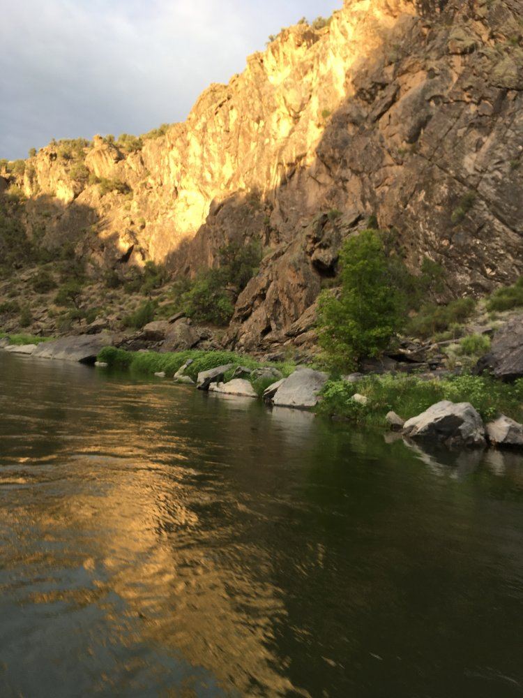 IMG 0876