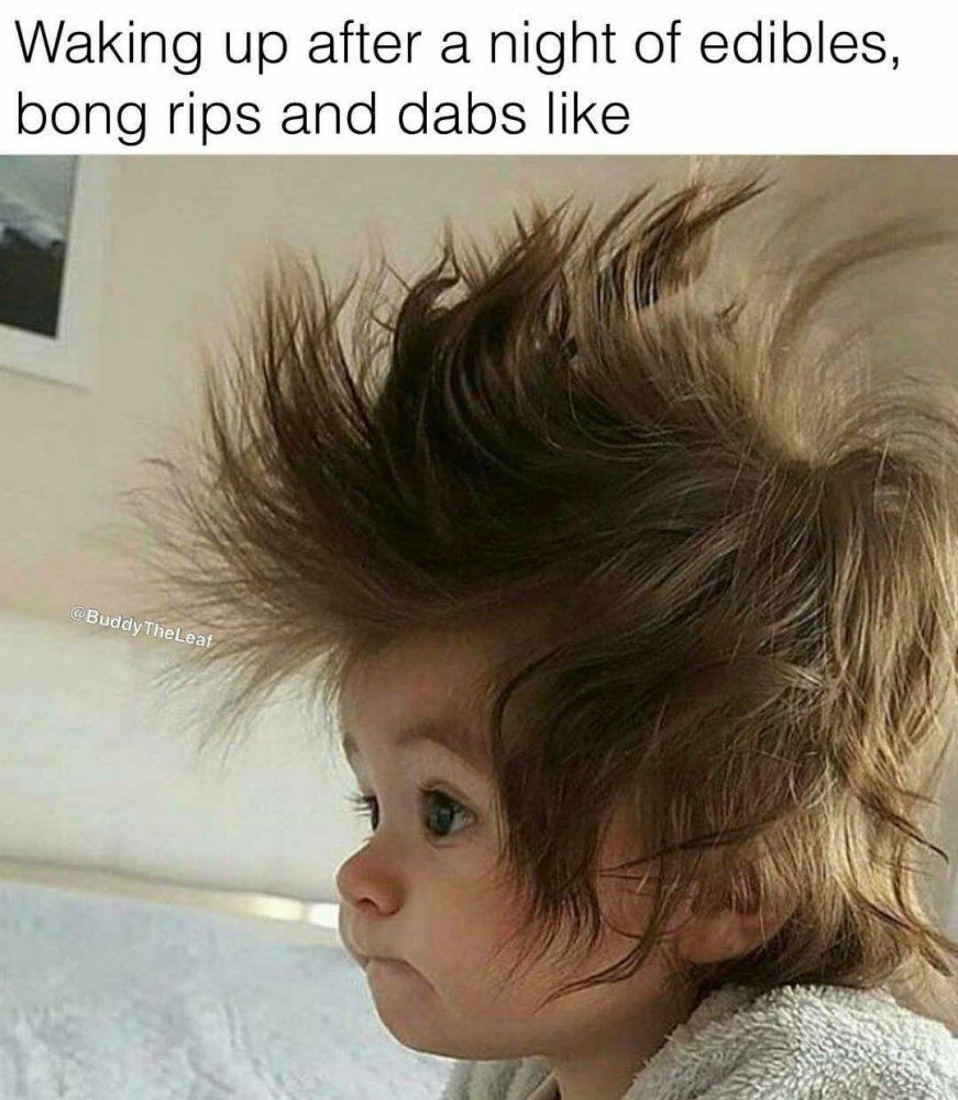 IMG 0900
