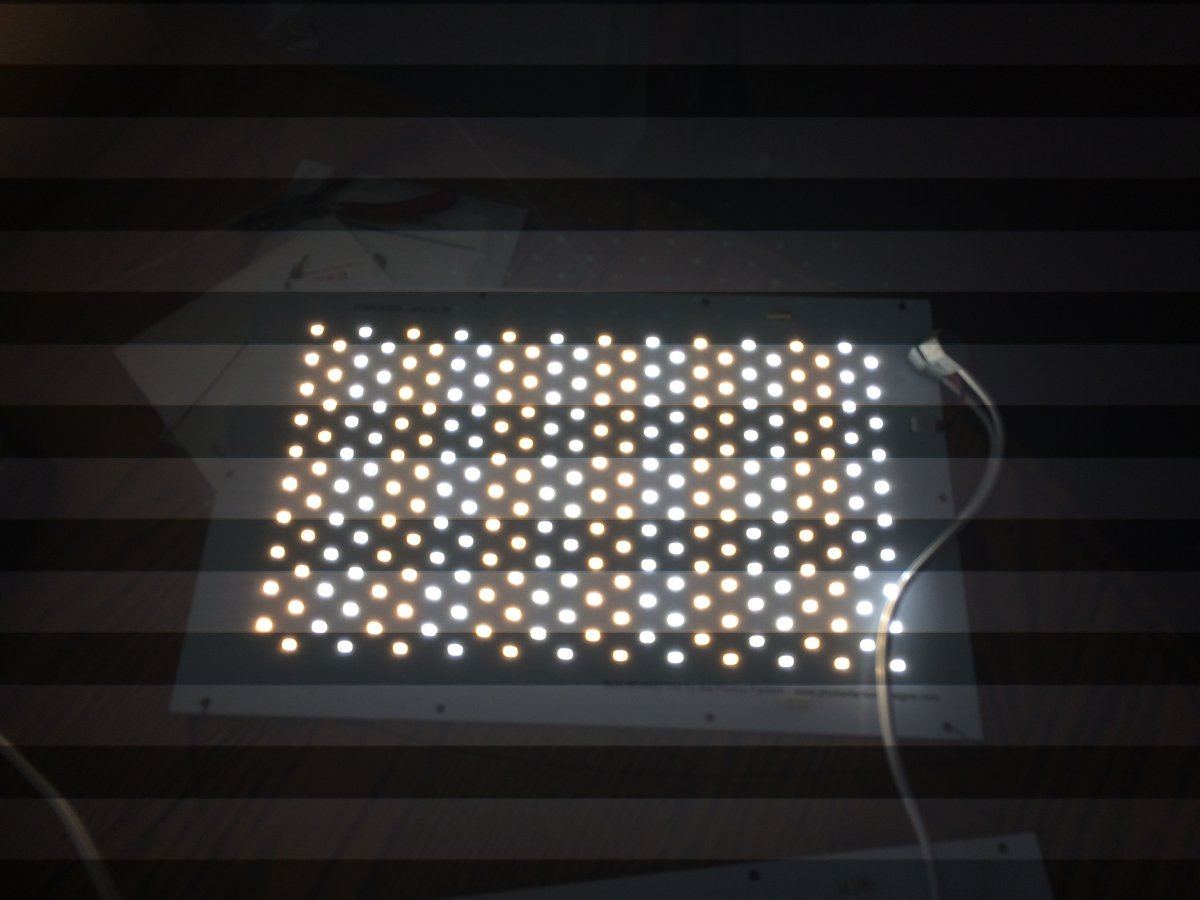 IMG 0905