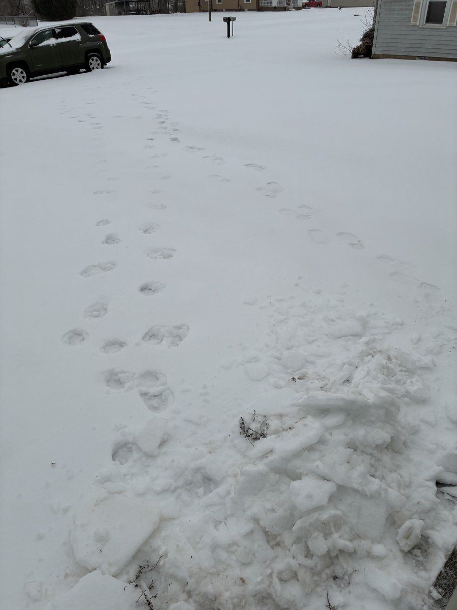 IMG 0907