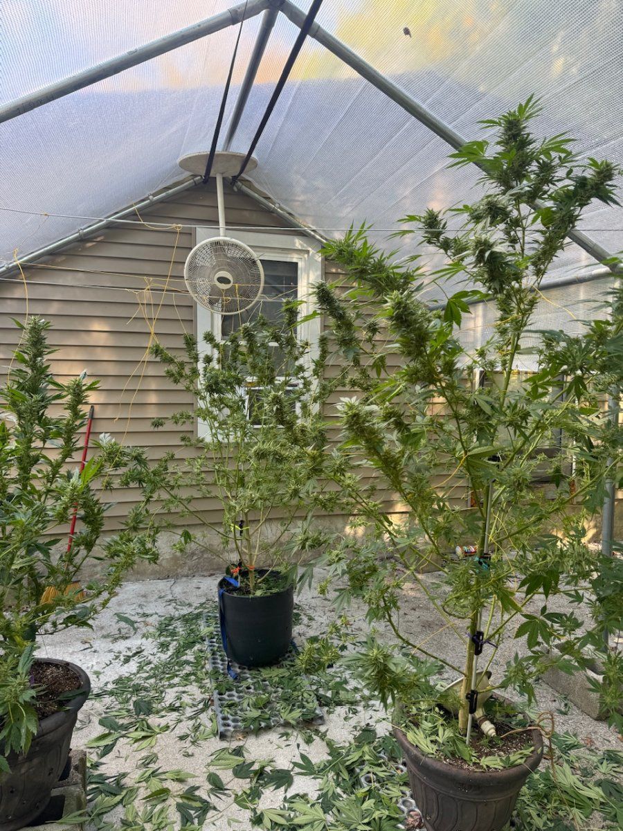 IMG 1109
