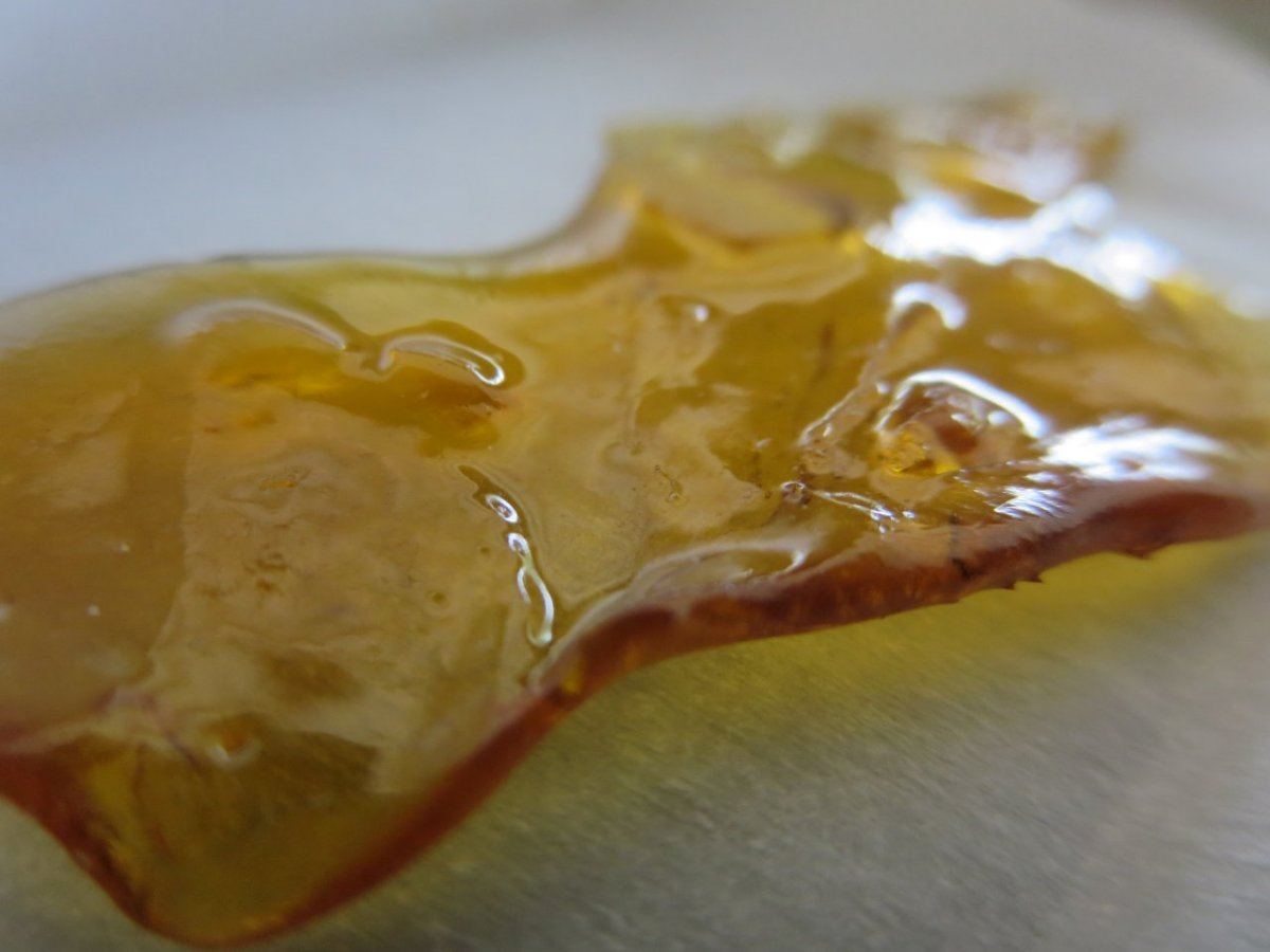 IMG 1125