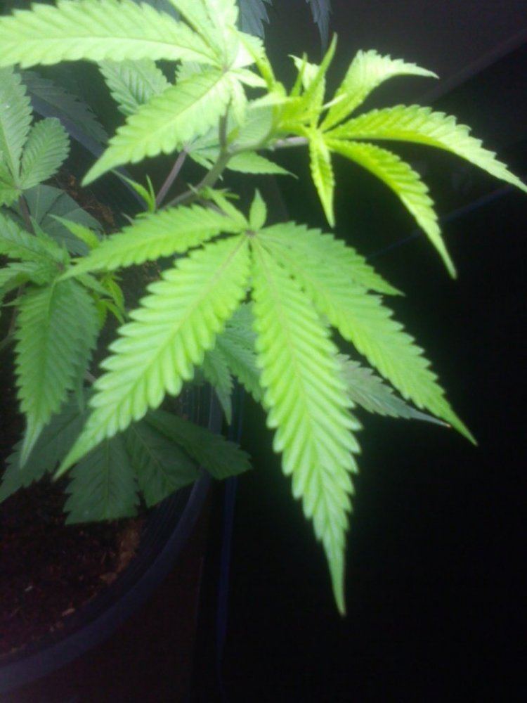 Img 120923204308