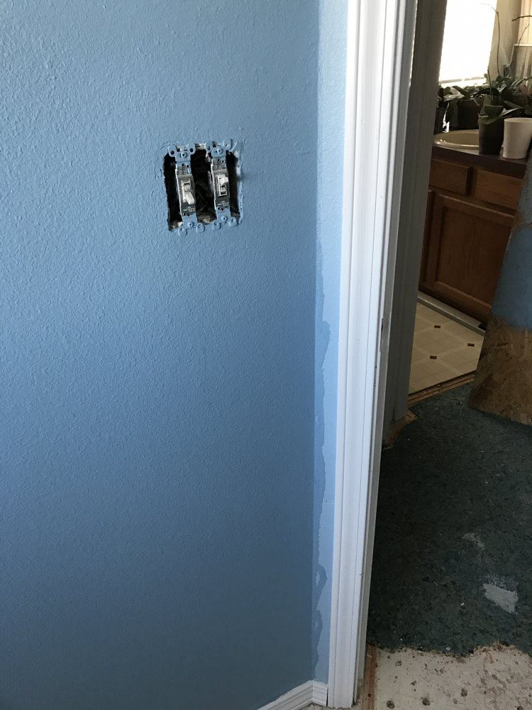 IMG 1301
