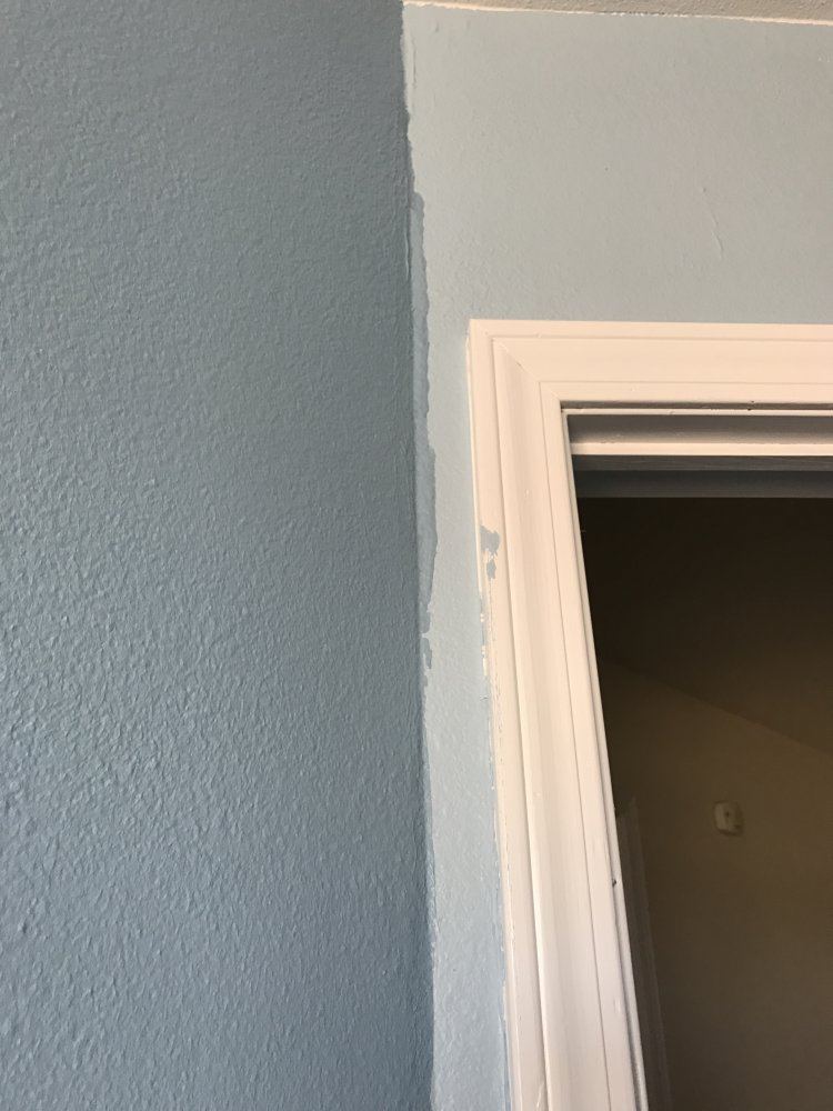 IMG 1303