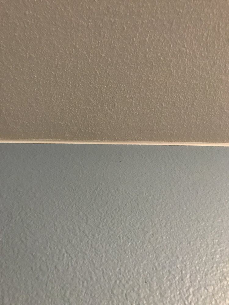 IMG 1321