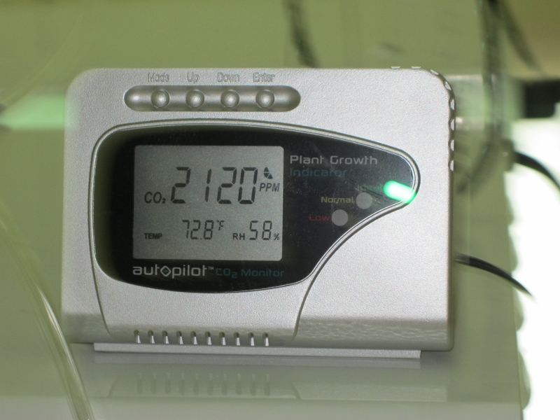 IMG 1364 800x600